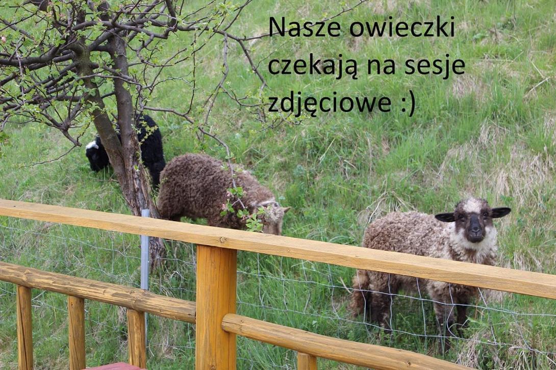 Domki Pod Zielonym Wierchem Ζακοπάνε Εξωτερικό φωτογραφία